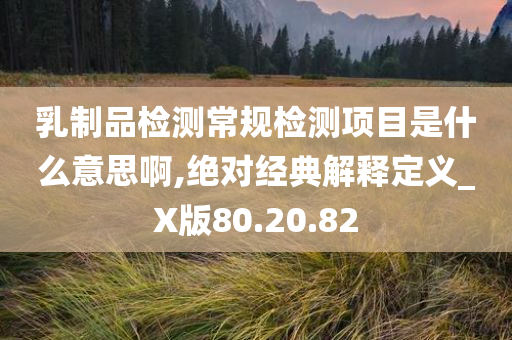 乳制品检测常规检测项目是什么意思啊,绝对经典解释定义_X版80.20.82