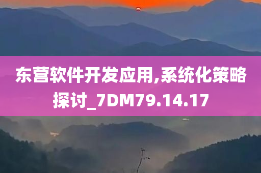 东营软件开发应用,系统化策略探讨_7DM79.14.17