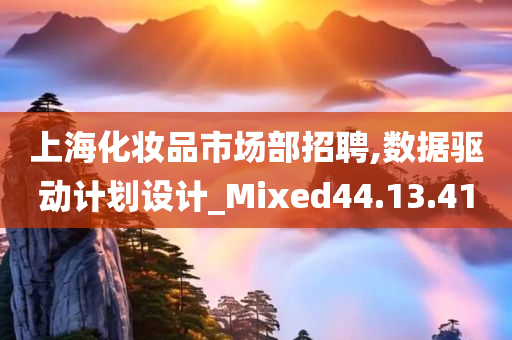 上海化妆品市场部招聘,数据驱动计划设计_Mixed44.13.41