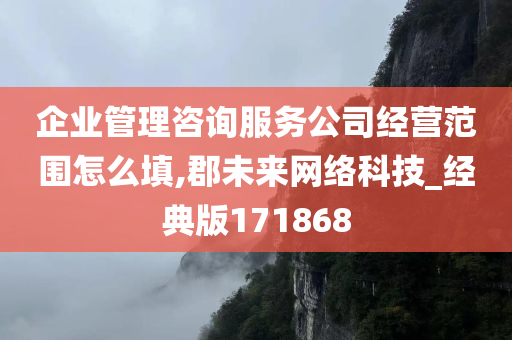 企业管理咨询服务公司经营范围怎么填,郡未来网络科技_经典版171868