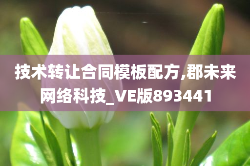 技术转让合同模板配方,郡未来网络科技_VE版893441