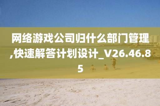 网络游戏公司归什么部门管理,快速解答计划设计_V26.46.85