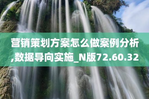 营销策划方案怎么做案例分析,数据导向实施_N版72.60.32