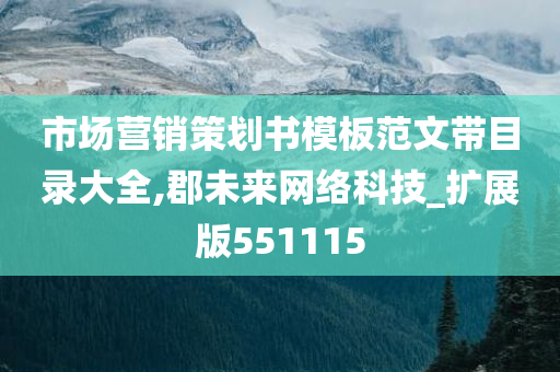 市场营销策划书模板范文带目录大全,郡未来网络科技_扩展版551115