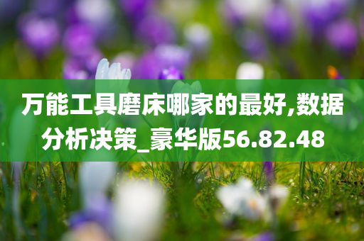 万能工具磨床哪家的最好,数据分析决策_豪华版56.82.48