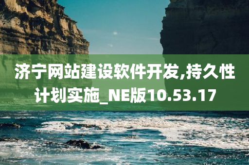 济宁网站建设软件开发,持久性计划实施_NE版10.53.17