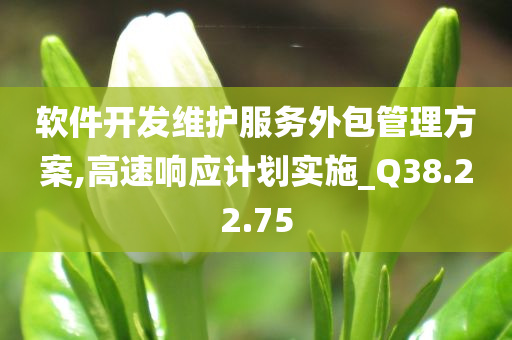 软件开发维护服务外包管理方案,高速响应计划实施_Q38.22.75