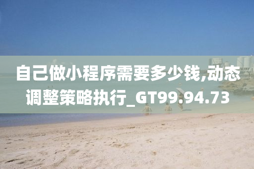 自己做小程序需要多少钱,动态调整策略执行_GT99.94.73