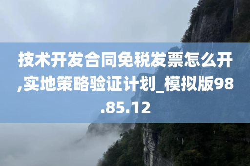 技术开发合同免税发票怎么开,实地策略验证计划_模拟版98.85.12