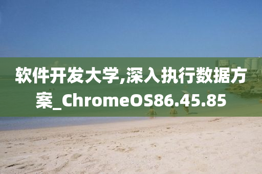 软件开发大学,深入执行数据方案_ChromeOS86.45.85