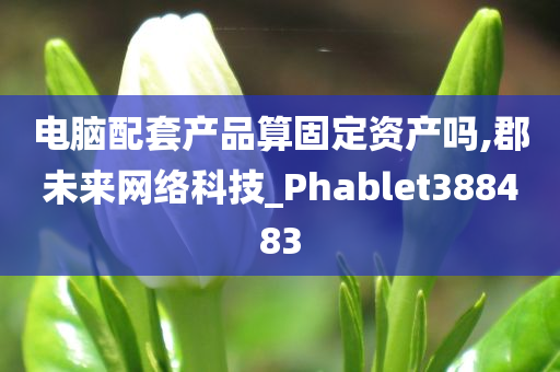 电脑配套产品算固定资产吗,郡未来网络科技_Phablet388483