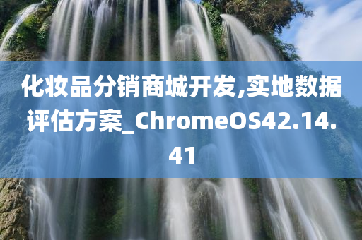 化妆品分销商城开发,实地数据评估方案_ChromeOS42.14.41