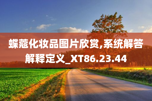 蝶蔻化妆品图片欣赏,系统解答解释定义_XT86.23.44