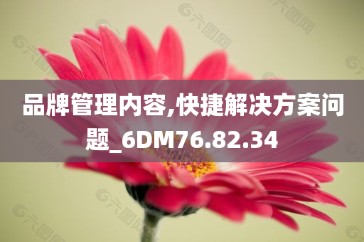 品牌管理内容,快捷解决方案问题_6DM76.82.34