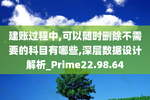 建账过程中,可以随时删除不需要的科目有哪些,深层数据设计解析_Prime22.98.64