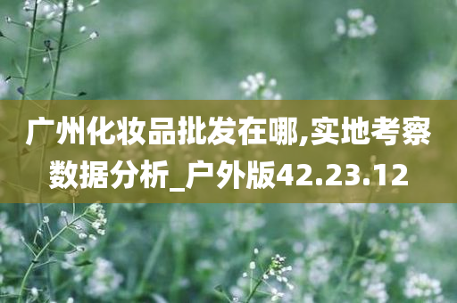 广州化妆品批发在哪,实地考察数据分析_户外版42.23.12