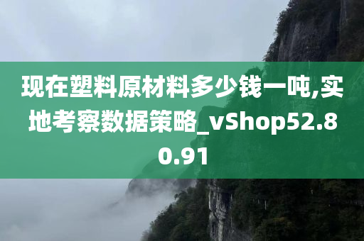 现在塑料原材料多少钱一吨,实地考察数据策略_vShop52.80.91