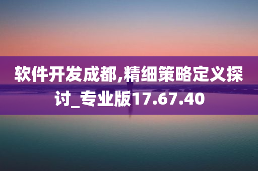 软件开发成都,精细策略定义探讨_专业版17.67.40