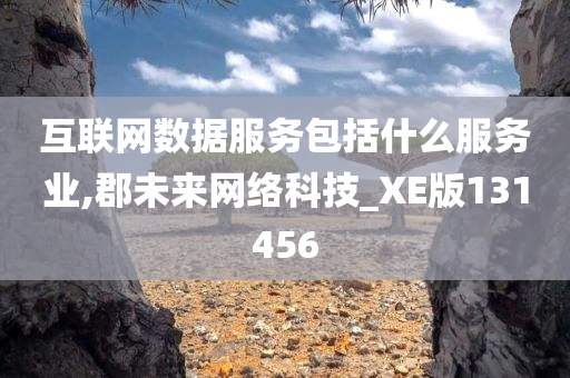 互联网数据服务包括什么服务业,郡未来网络科技_XE版131456