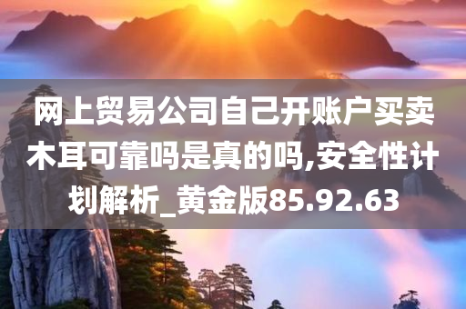 网上贸易公司自己开账户买卖木耳可靠吗是真的吗,安全性计划解析_黄金版85.92.63