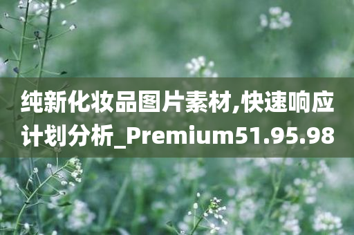 纯新化妆品图片素材,快速响应计划分析_Premium51.95.98