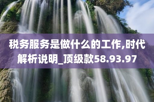 税务服务是做什么的工作,时代解析说明_顶级款58.93.97