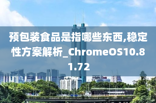 预包装食品是指哪些东西,稳定性方案解析_ChromeOS10.81.72