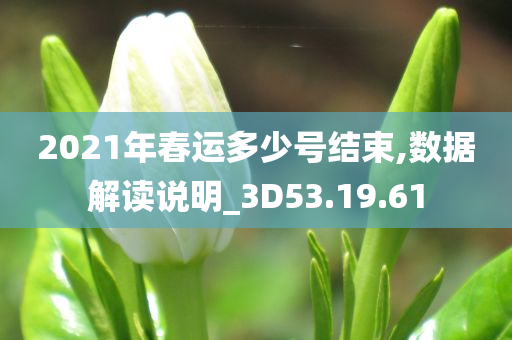 2021年春运多少号结束,数据解读说明_3D53.19.61