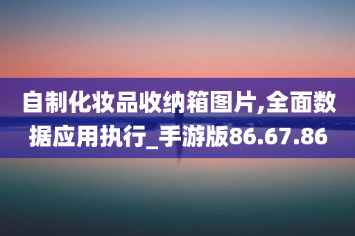 自制化妆品收纳箱图片,全面数据应用执行_手游版86.67.86