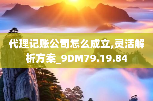 代理记账公司怎么成立,灵活解析方案_9DM79.19.84