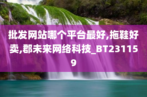 批发网站哪个平台最好,拖鞋好卖,郡未来网络科技_BT231159