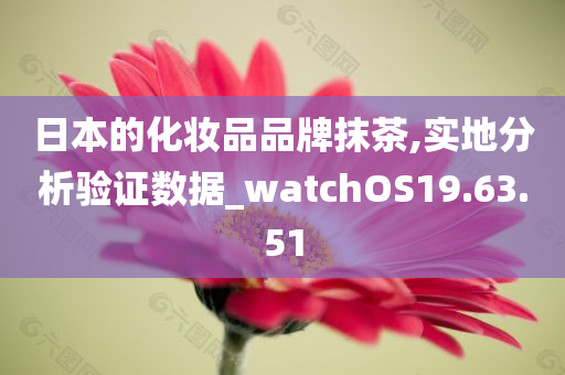 日本的化妆品品牌抹茶,实地分析验证数据_watchOS19.63.51