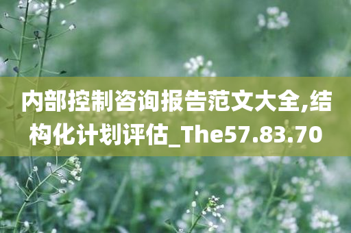 内部控制咨询报告范文大全,结构化计划评估_The57.83.70