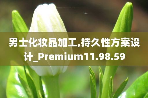 男士化妆品加工,持久性方案设计_Premium11.98.59