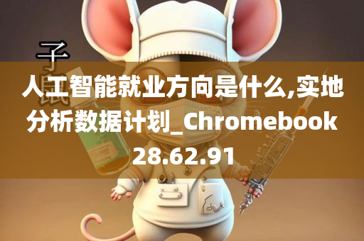 人工智能就业方向是什么,实地分析数据计划_Chromebook28.62.91