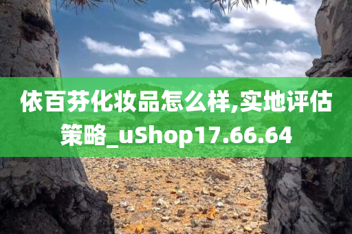 依百芬化妆品怎么样,实地评估策略_uShop17.66.64