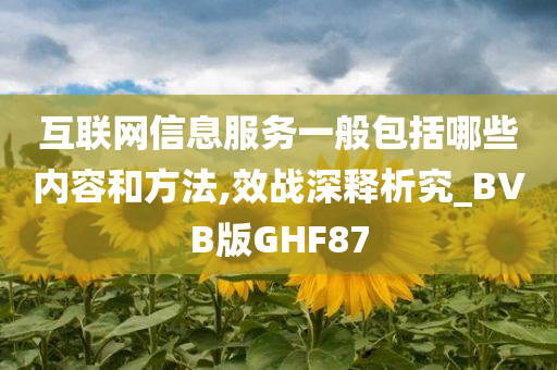 互联网信息服务一般包括哪些内容和方法,效战深释析究_BVB版GHF87