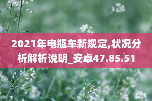 2021年电瓶车新规定,状况分析解析说明_安卓47.85.51