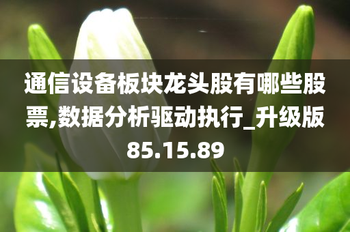 通信设备板块龙头股有哪些股票,数据分析驱动执行_升级版85.15.89