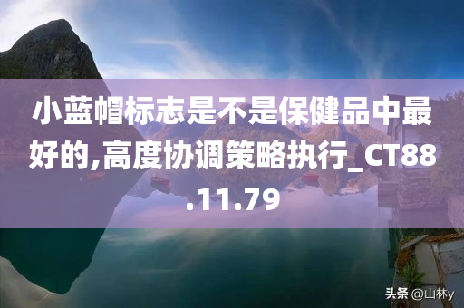 小蓝帽标志是不是保健品中最好的,高度协调策略执行_CT88.11.79