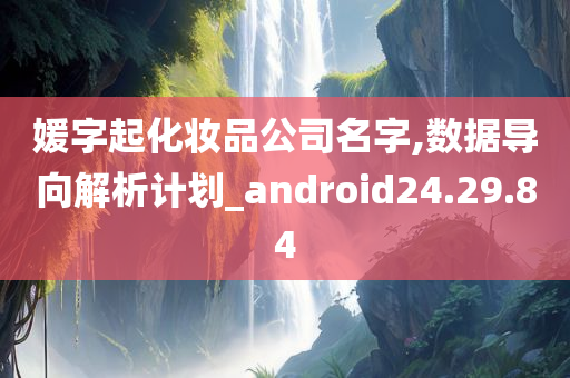 媛字起化妆品公司名字,数据导向解析计划_android24.29.84