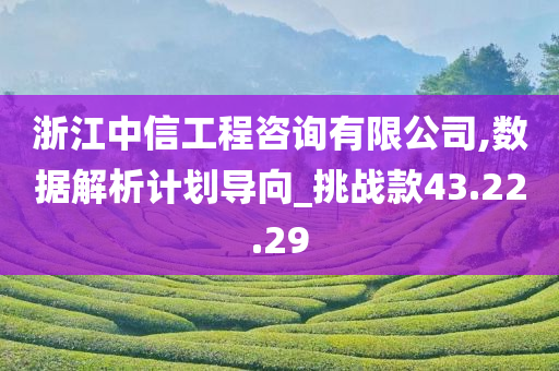 浙江中信工程咨询有限公司,数据解析计划导向_挑战款43.22.29