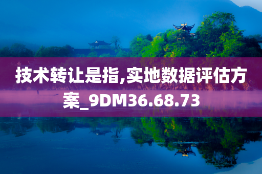 技术转让是指,实地数据评估方案_9DM36.68.73