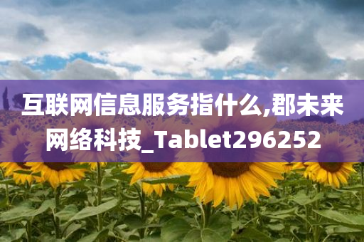 互联网信息服务指什么,郡未来网络科技_Tablet296252