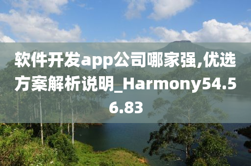 软件开发app公司哪家强,优选方案解析说明_Harmony54.56.83