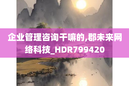 企业管理咨询干嘛的,郡未来网络科技_HDR799420