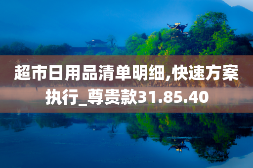 超市日用品清单明细,快速方案执行_尊贵款31.85.40