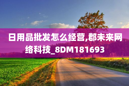 日用品批发怎么经营,郡未来网络科技_8DM181693