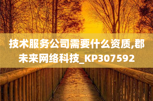 技术服务公司需要什么资质,郡未来网络科技_KP307592