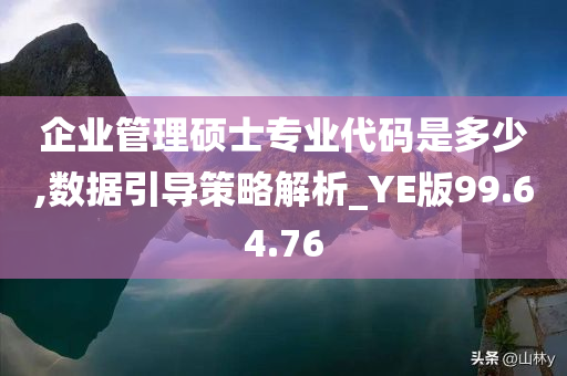 企业管理硕士专业代码是多少,数据引导策略解析_YE版99.64.76